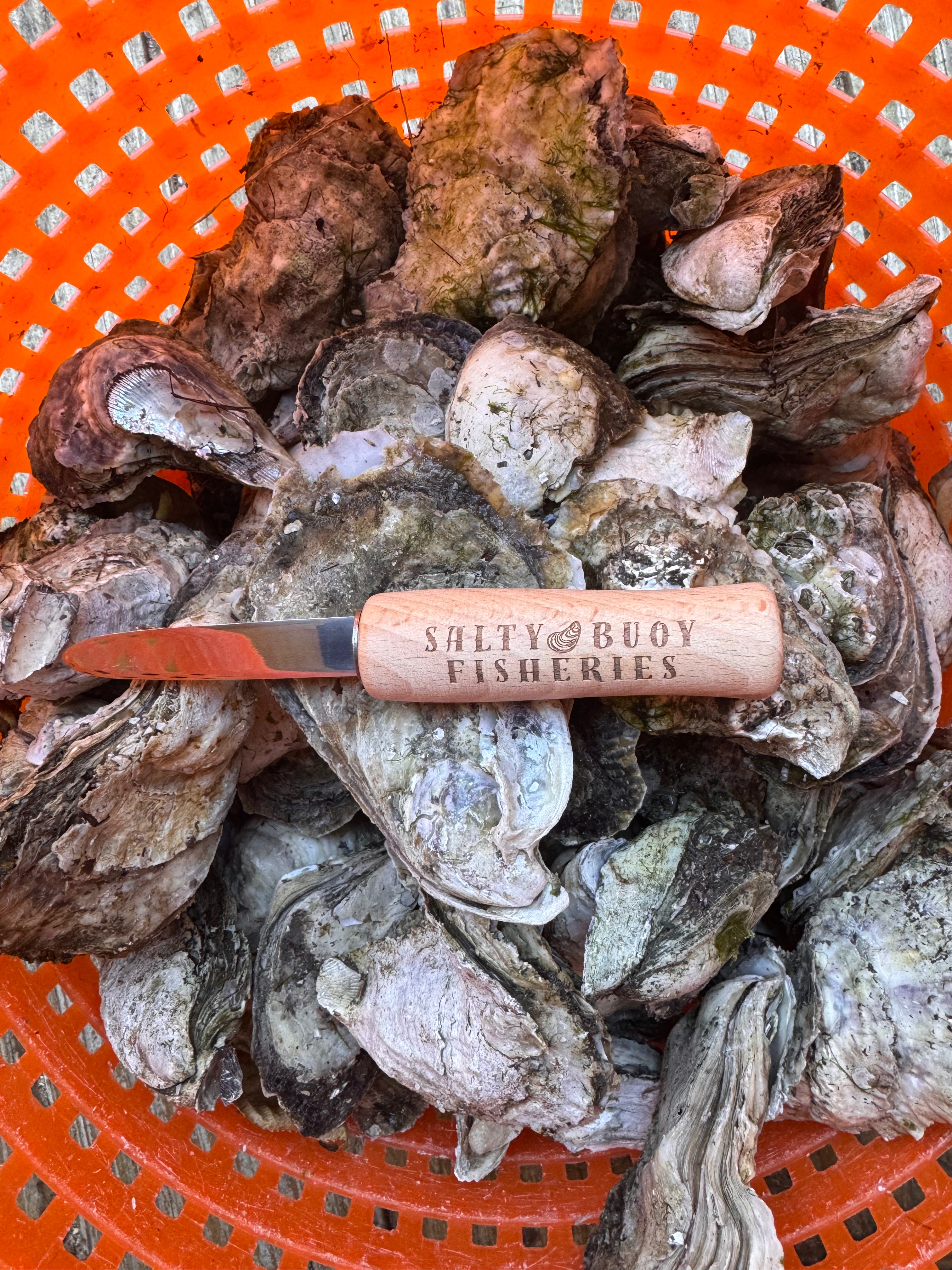 Salty Buoy Shucker